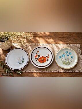 Vintage Stoneware Dinner Plate Collection